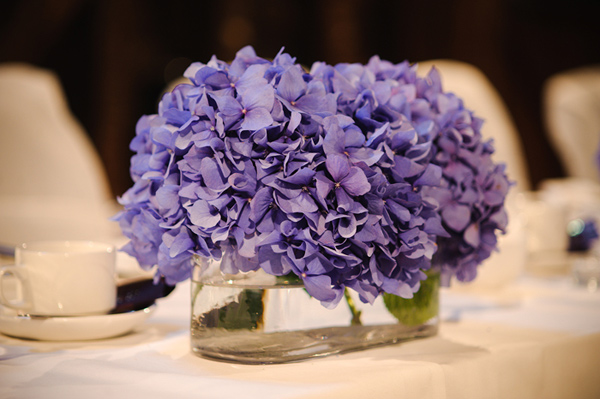 Purple and Navy I found my sisters maid of honour dress in Monsoon the year