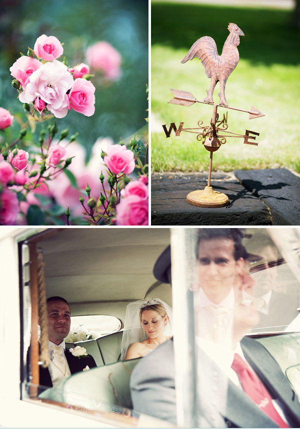 poppy-20