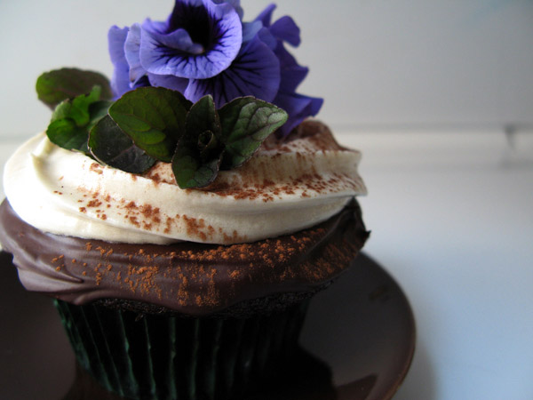 cupcake cupcake