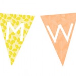 RMW-bunting