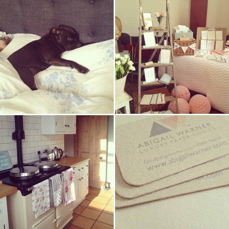 Cute Dog Abigail Warner Instagram AGA