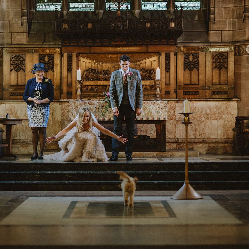 Couples pet dog makes it's entrance at Church wedding