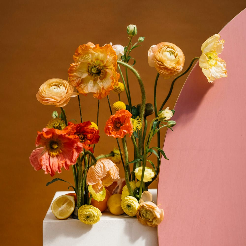Orange and peach poppy wedding floral installation by Boom Blooms with citrus fruit details