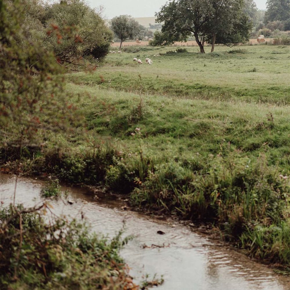Wedding venue setting of countryside with sheep and river 