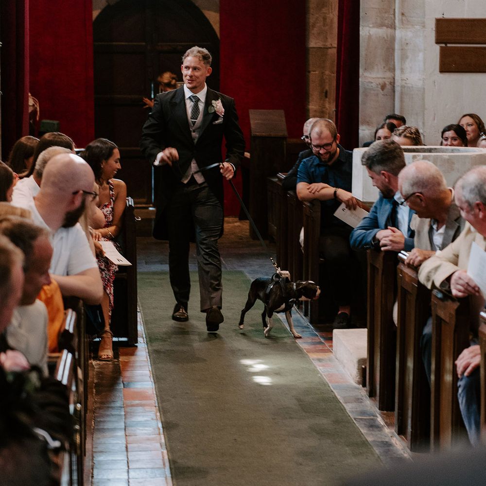 Groomsmen in a three piece suit walks down the aisle with the bride and groom's pet dog, Brains