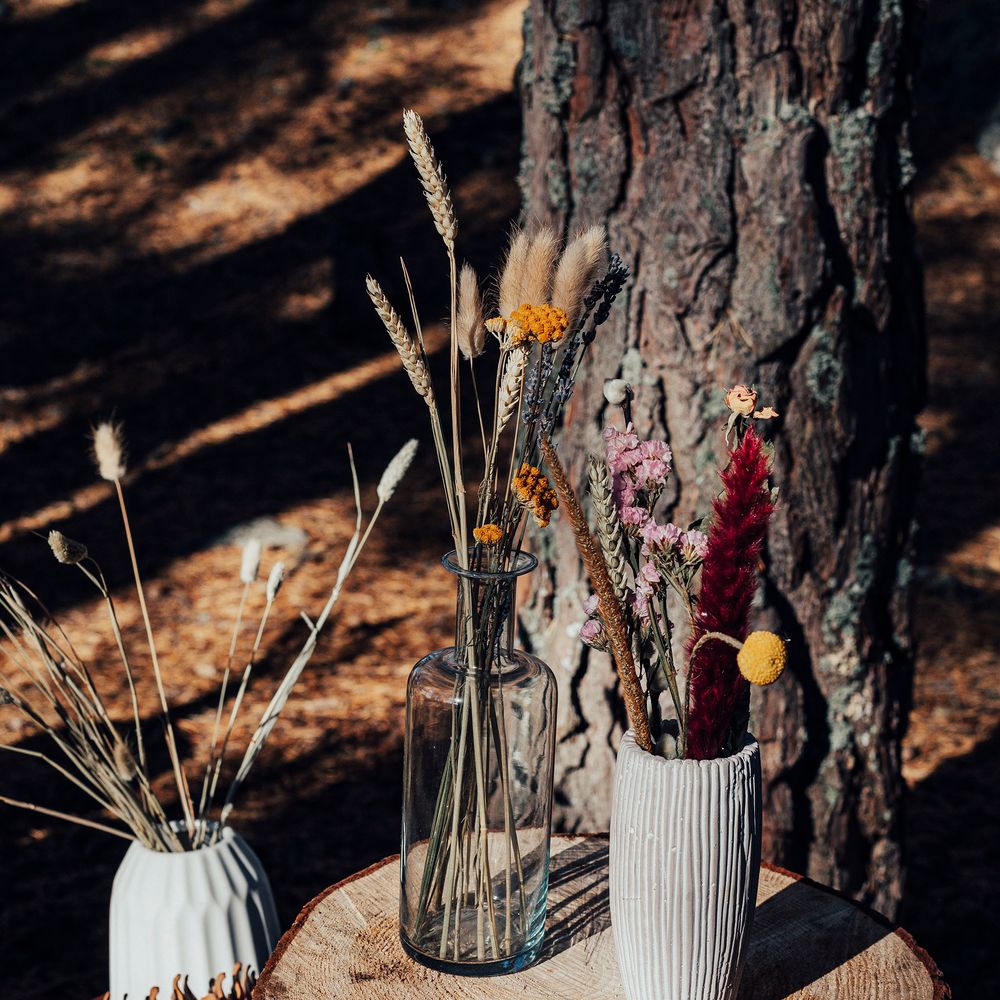 Vases with dried flowers on top of tree trunk in woodland setting