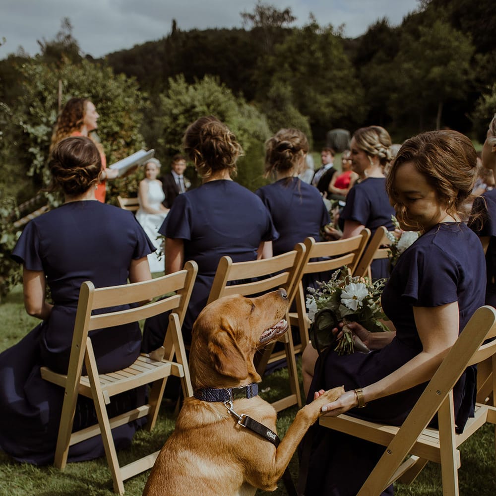 Bridesmaids in navy blue dresses and pet dog shakes hands with a bridesmaids