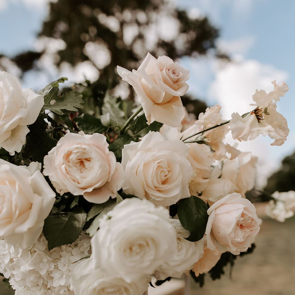 Delicate pale pink roses for the neutral theme wedding 
