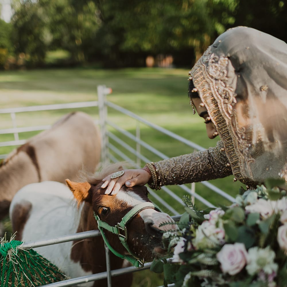 Petting zoo at multicultural wedding 