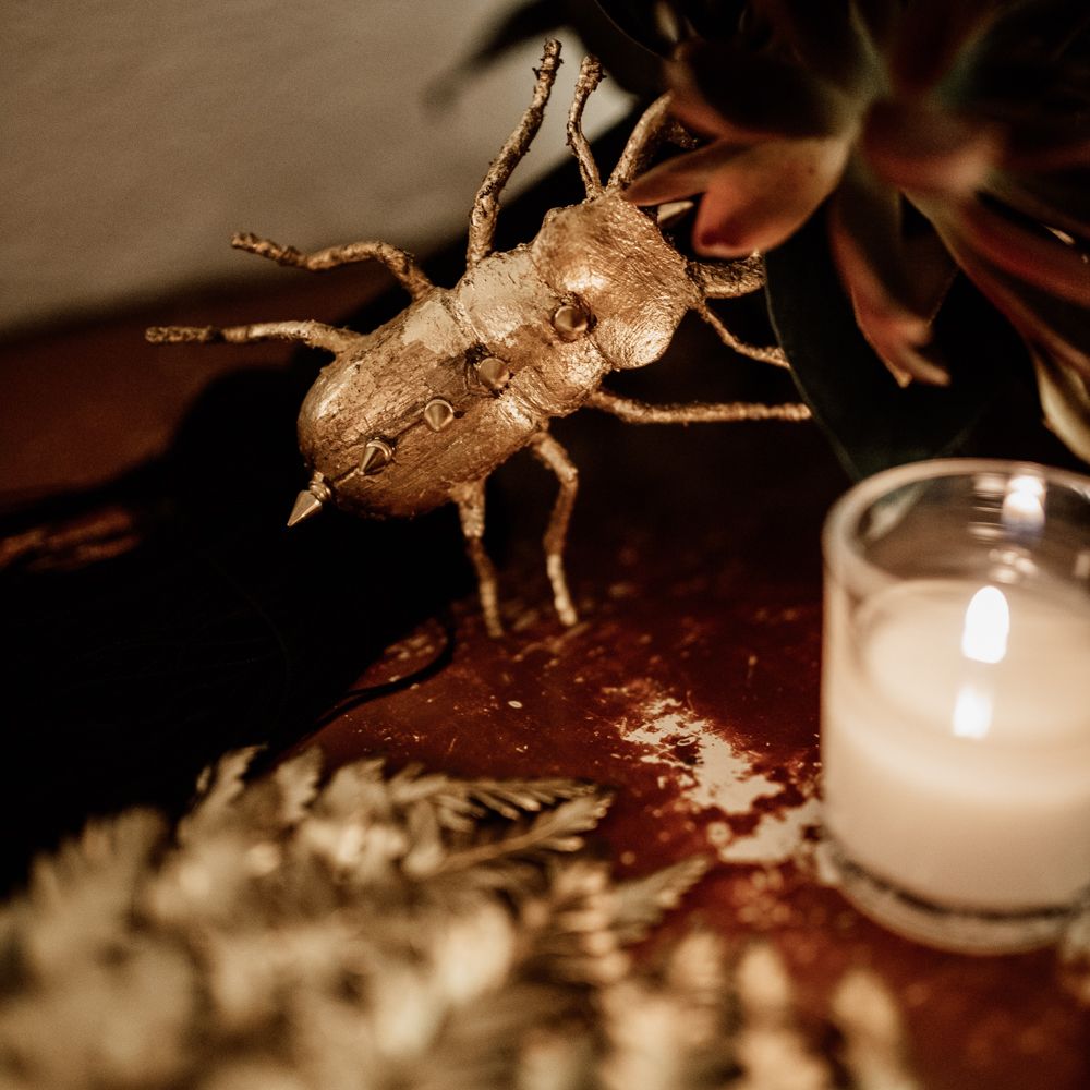 Gold beetle accessory 