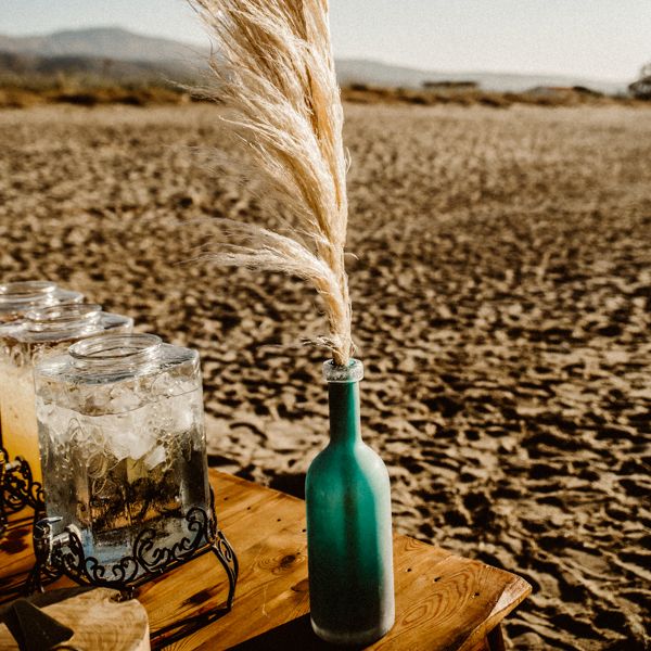 Pampas grass in green bottle