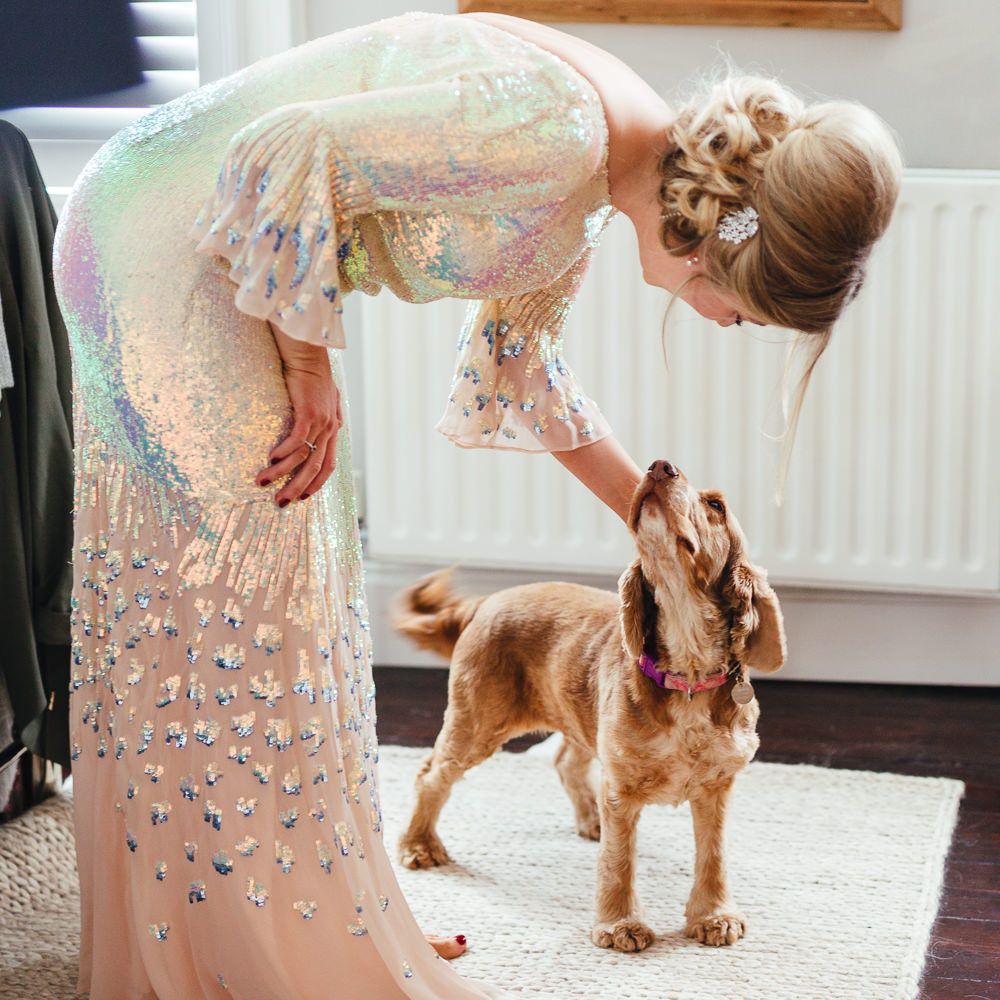 Bride stokes dog on the morning of her wedding