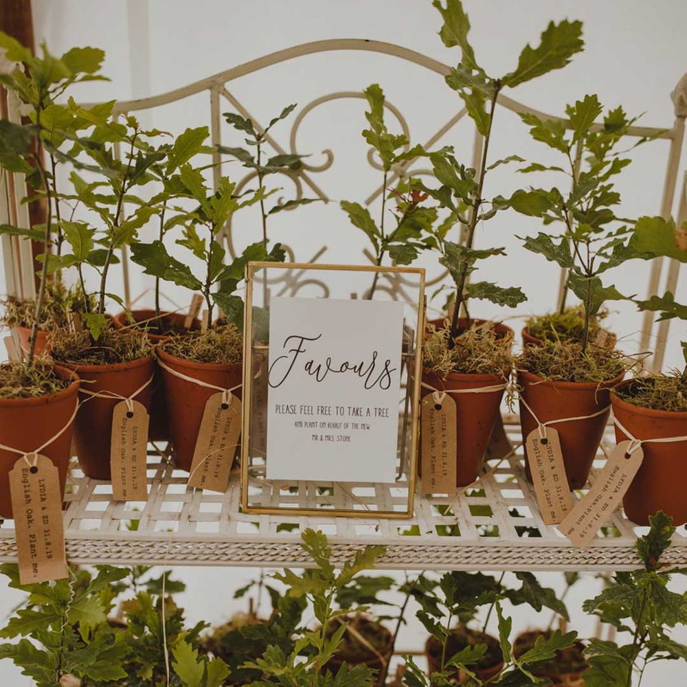 Plant pot wedding favours and DIY golden framed sign at wedding