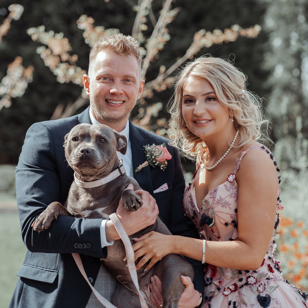 Bride & groom stand with their Staffordshire bull terrier 