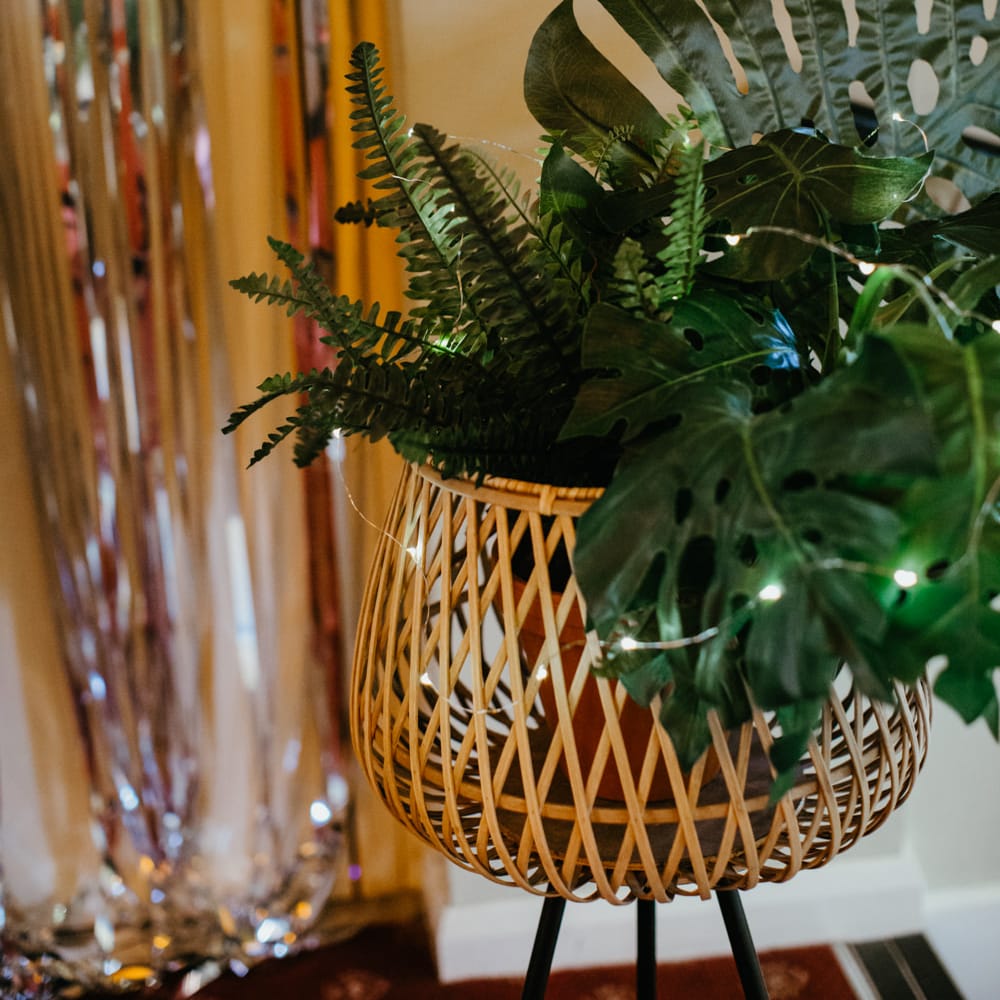 Wicker basket filled with green foliage and fairy lights 