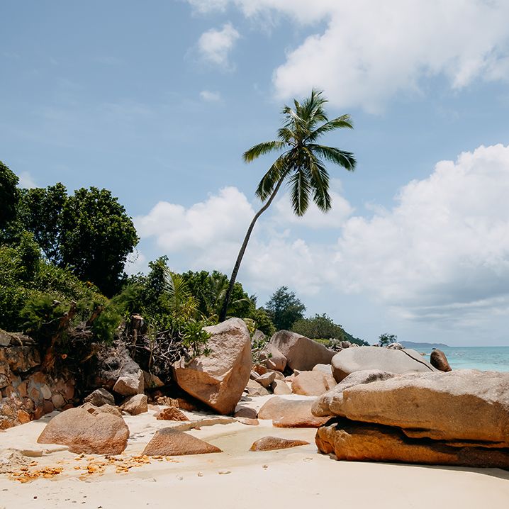 Sandy beach in Seychelles with large rocks, palm trees, azure sea and mountains in the background