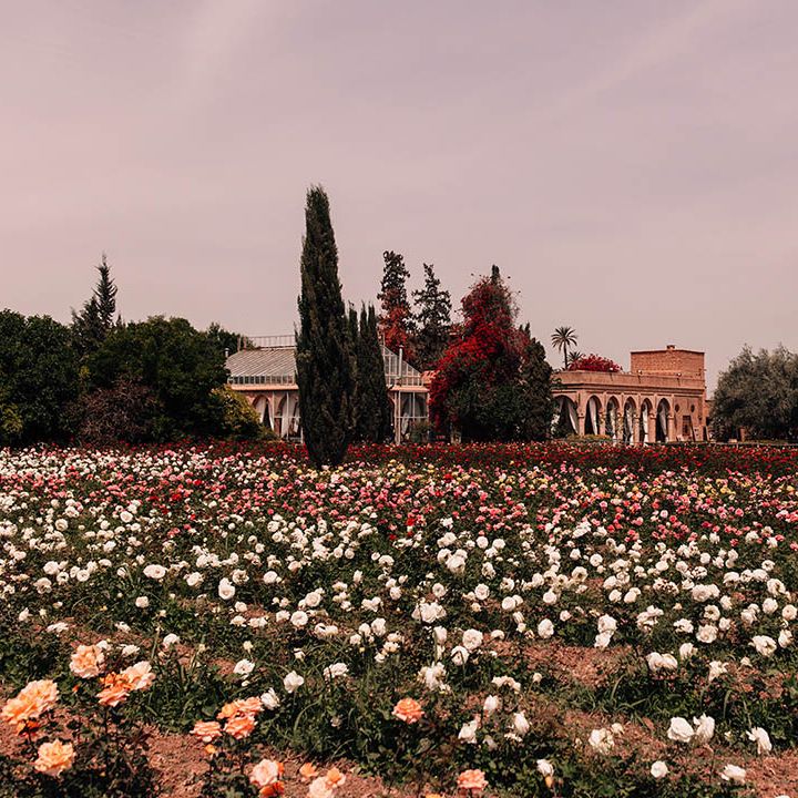 Fields of colourful flowers around the destination wedding venue 