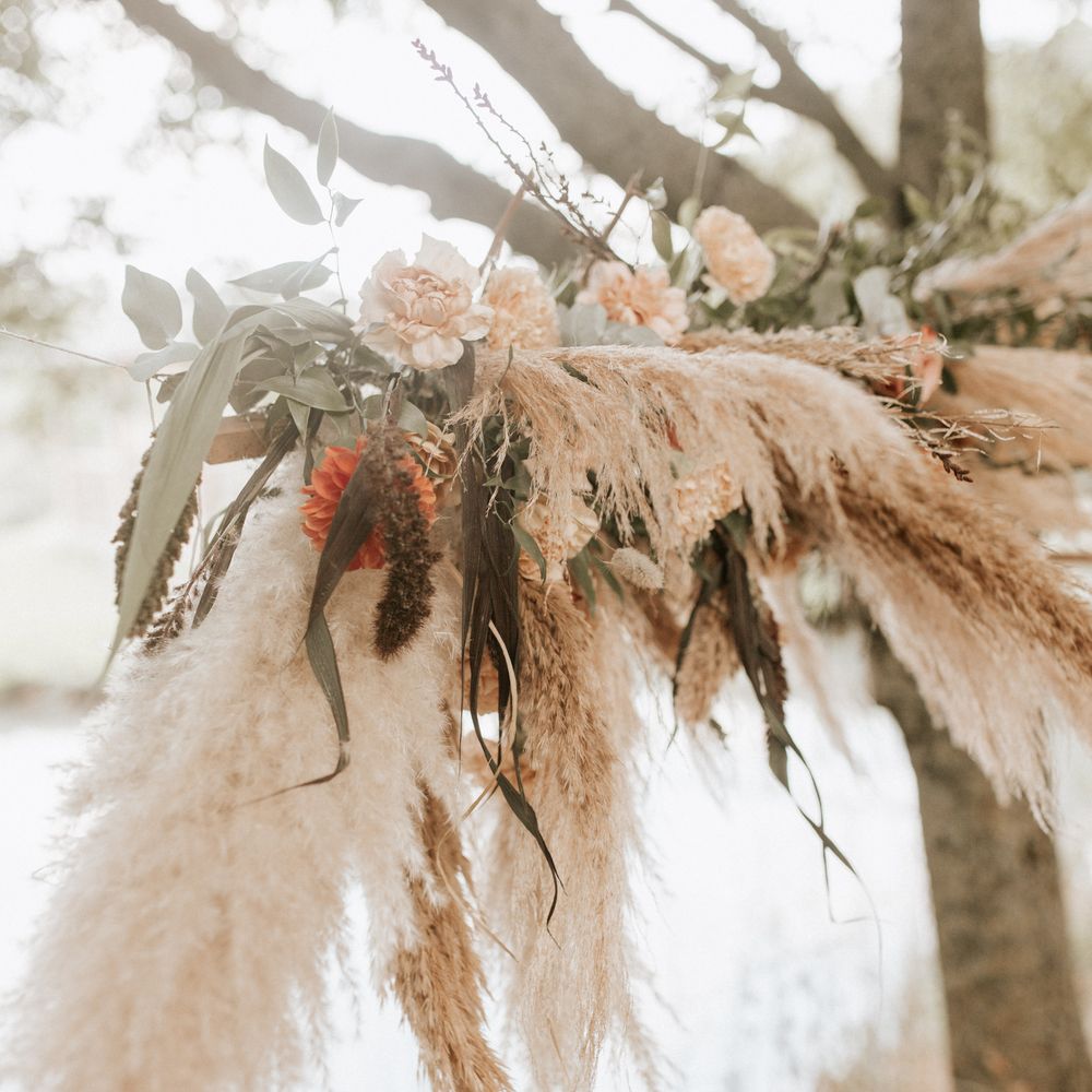 Pampas grass with white and orange flowers and green leaf foliage 