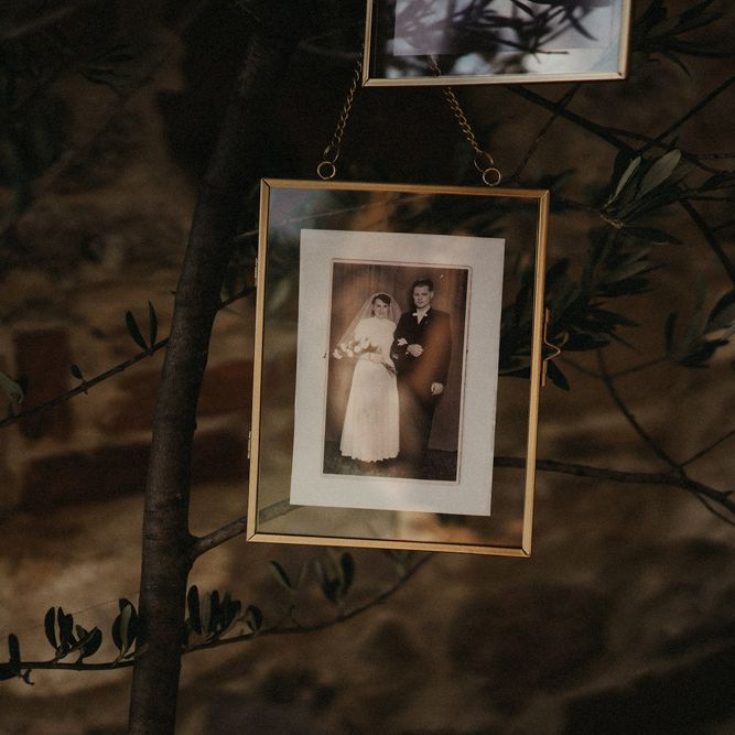 Memorial family photo hanging from olive tree of Bride's parents