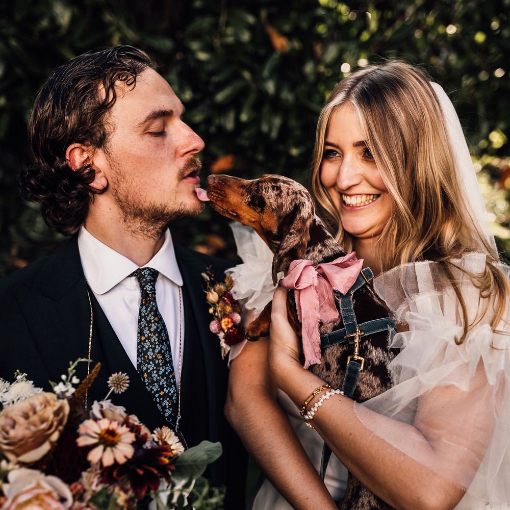 Bride in white Halfpenny London Mayfair dress and veil holding daschund with pink bow as it licks groom in blue suit and patterned tie holding mixed wedding bouquet for Cornish wedding reception