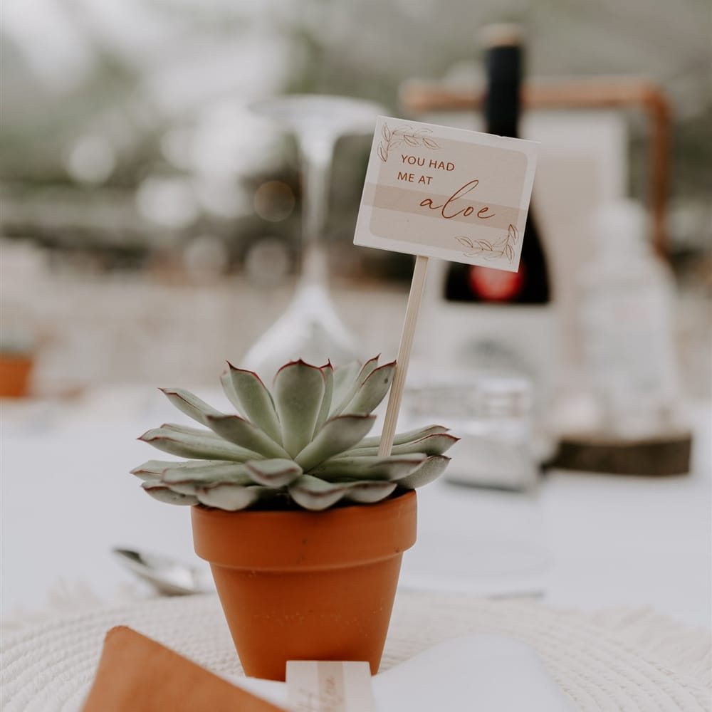 Small potted aloe vera with stick sign reading 'You had me at aloe' on table at marquee wedding reception in Bedfordshire