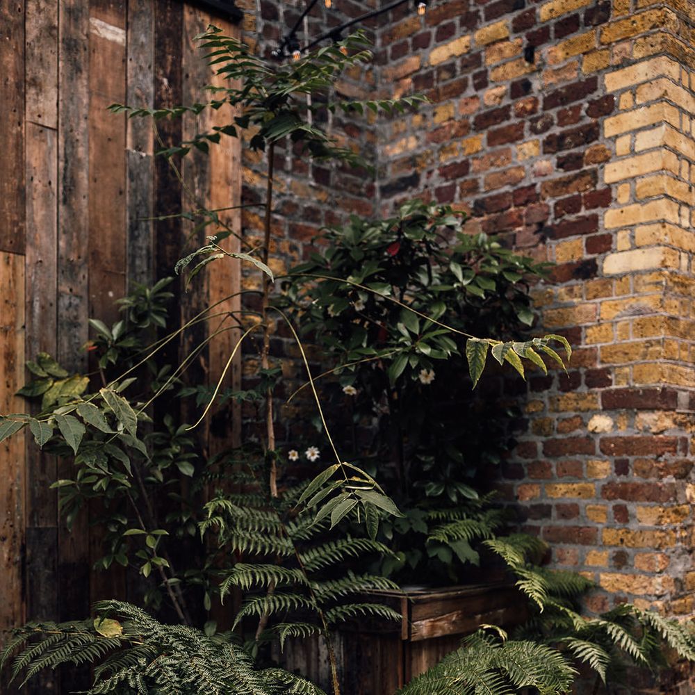 Potted plant wedding decor at 100 Barrington wedding venue in London 