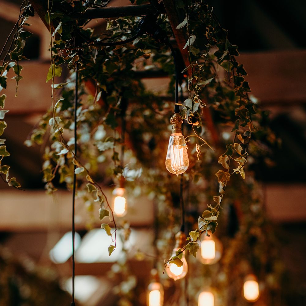 Hanging ivy and lighting above tables 