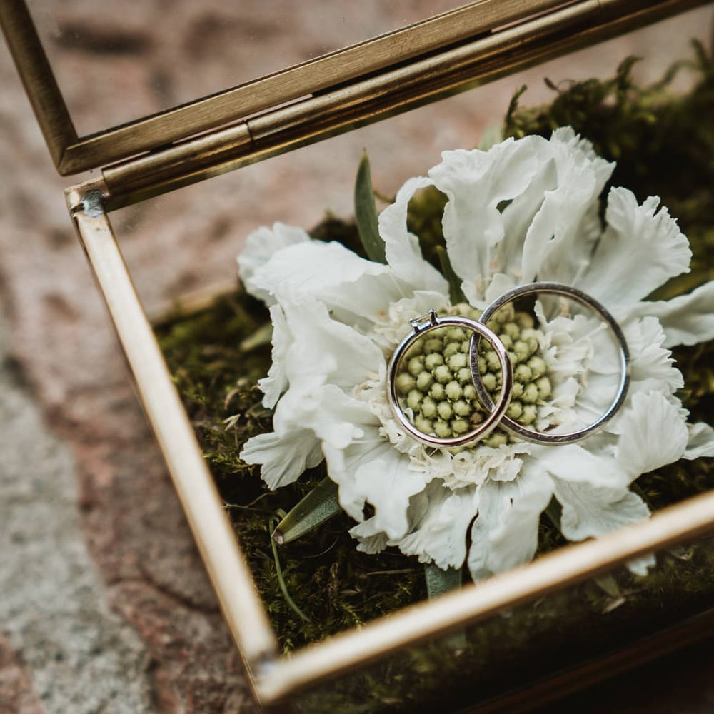 Wedding rings in a glass box on top of a succulent flower 