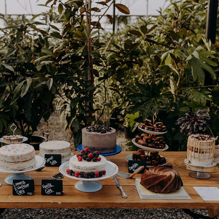 Rustic table full of cakes, brownies and cookies in front of greenery