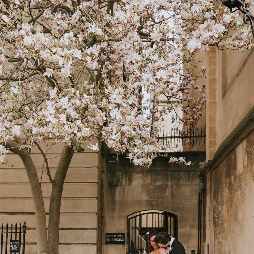 Bride and groom wedding portrait under a magnolia tree 