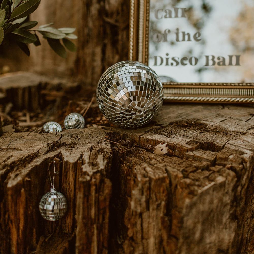 Disco ball rests on wooden block