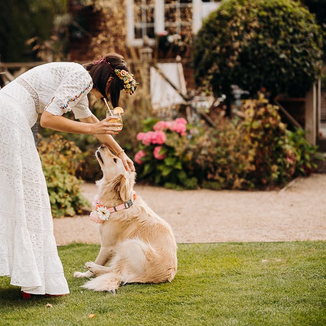 Bride in a bohemian dress patting her pet golden retriever