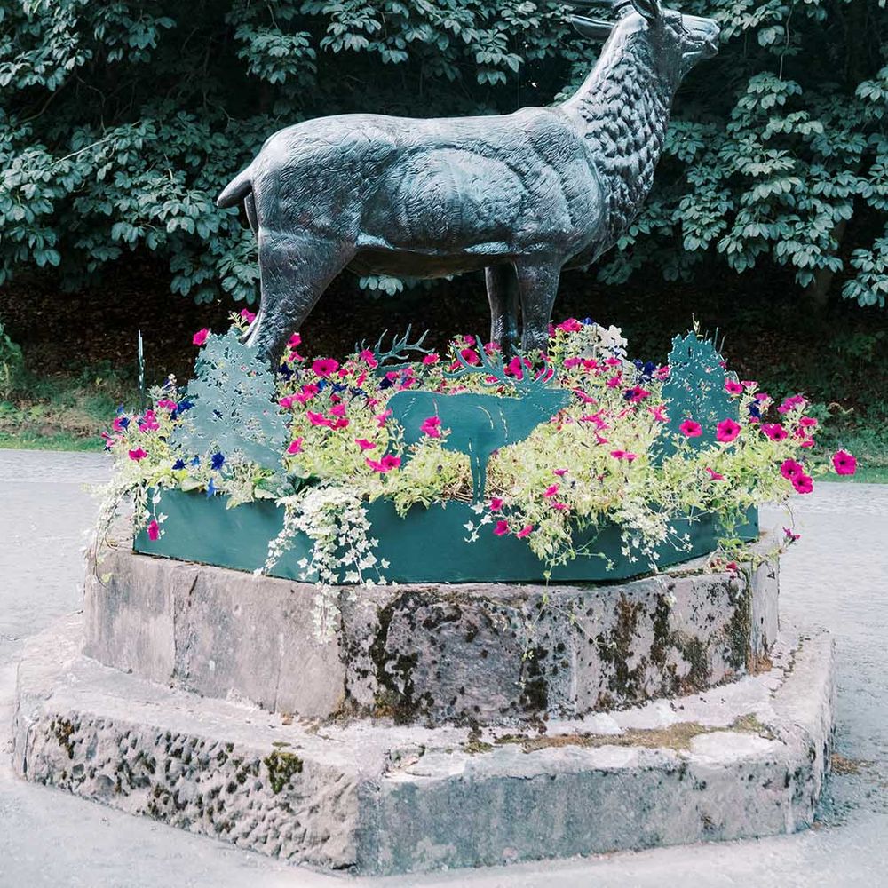 Stag statue outside Drumtochty Castle wedding venue