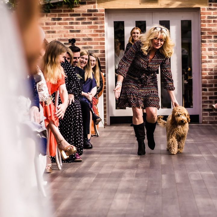 Pet dog walks down the aisle as ring bearer