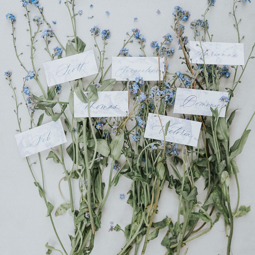 Blue wildflowers with place names 