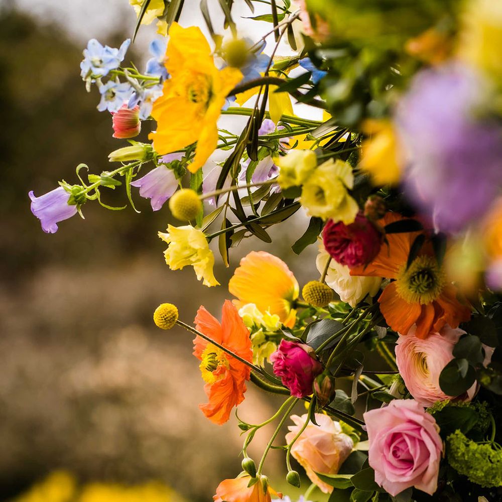 Spring flowers in yellows and oranges within floral archway finished with green foliage 