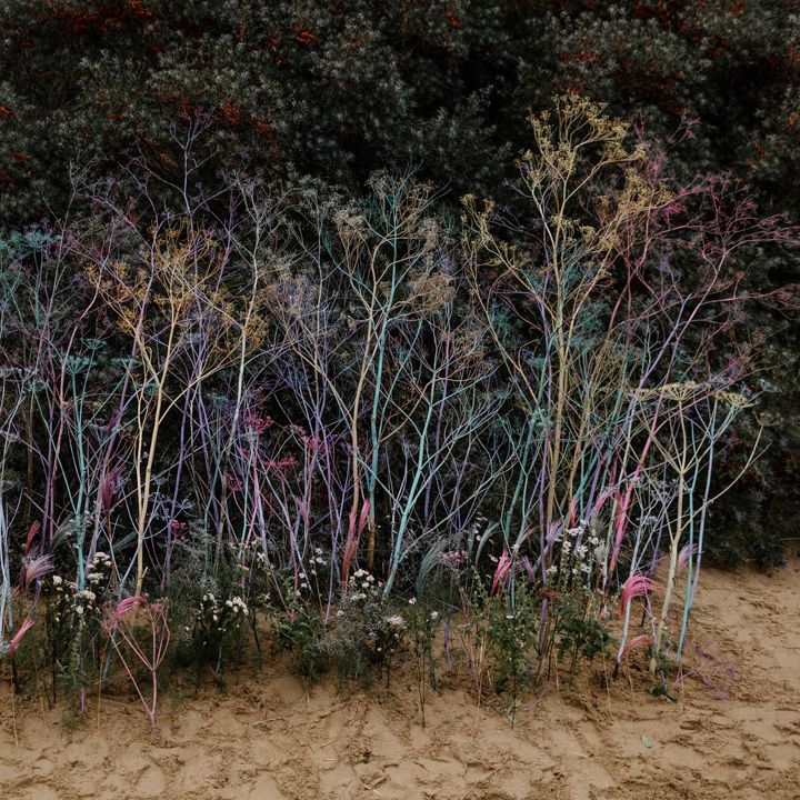 Colourful foliage stems plotted in the sand at a beach elopement 