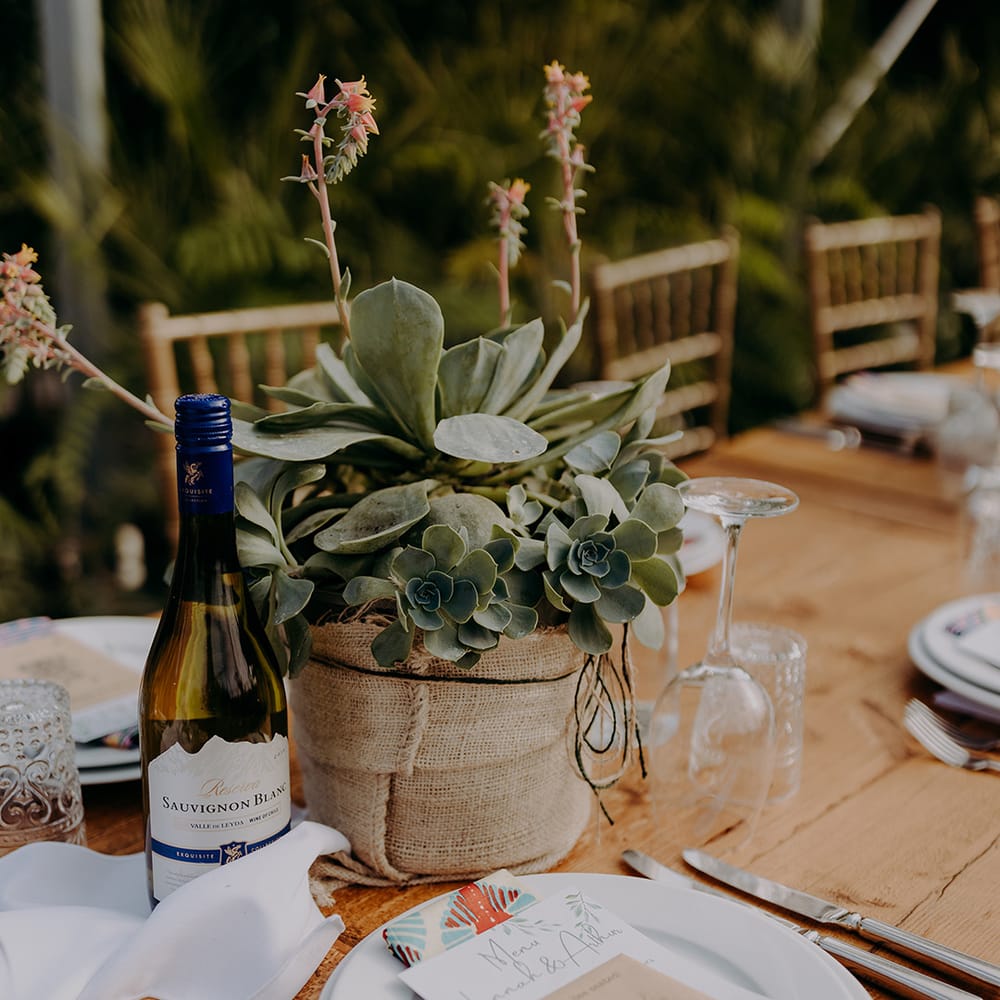 Tropical themed place setting with bottle of wine and succulents