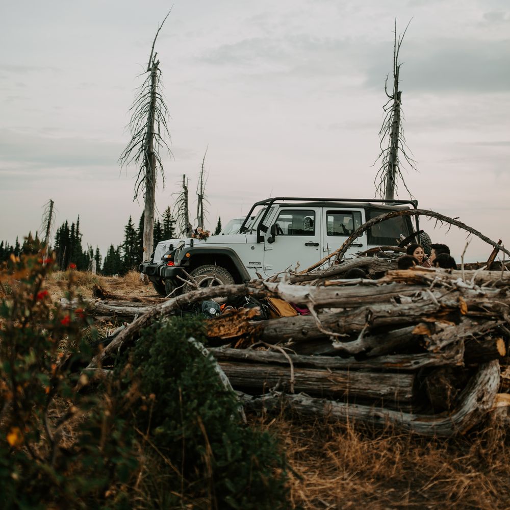 White wedding Jeep in front of fallen tree trunks