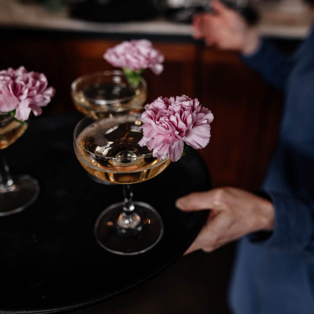 champagne served in coupe glasses with pink carnation flowers 