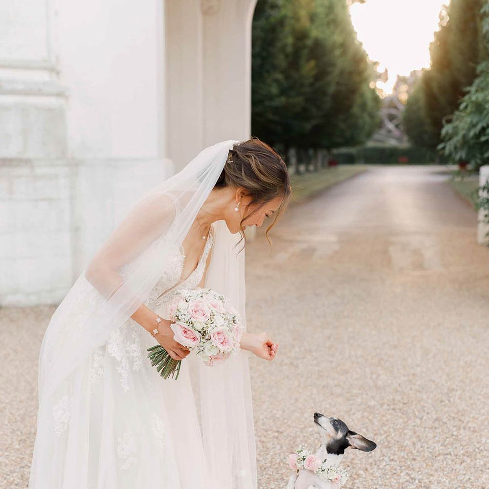 Bride leans down to her dog outdoors on the day of her wedding