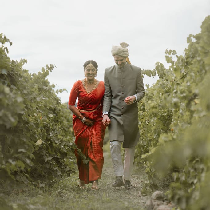 Domaine de Blanche Fleur, Provence wedding with bride and groom vineyard wedding photographs 