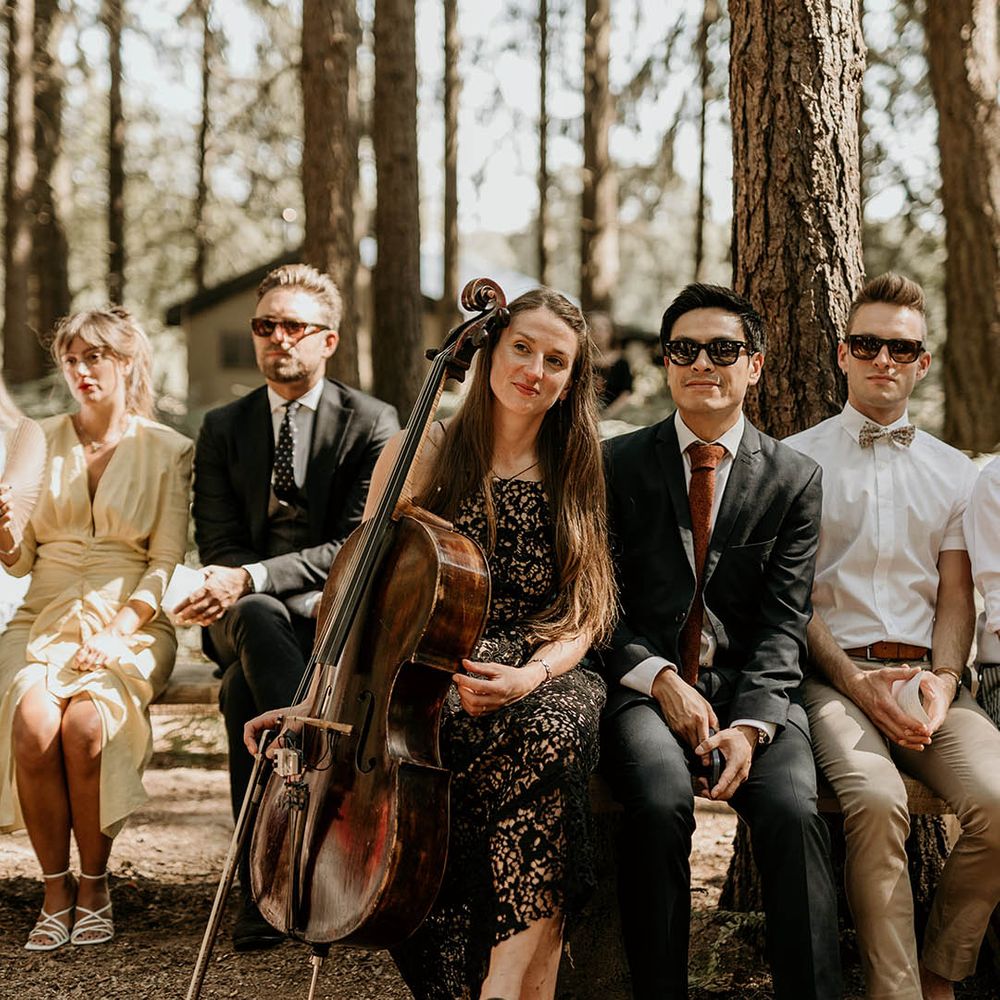 Wedding guests and wedding musician sit together to watch the woodland humanist ceremony 