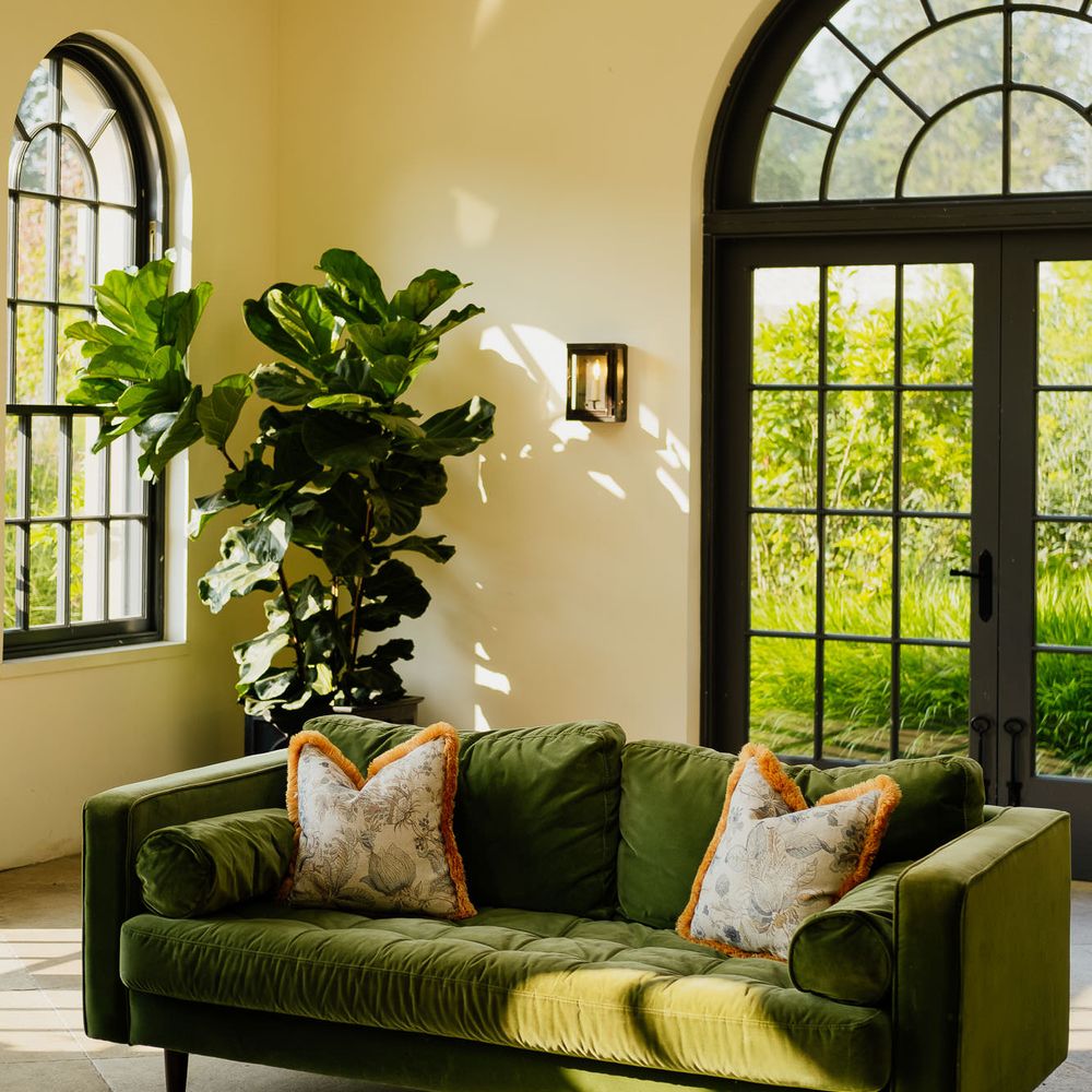Dark green velvet sofa and giant house plant at fiesta theme wedding 