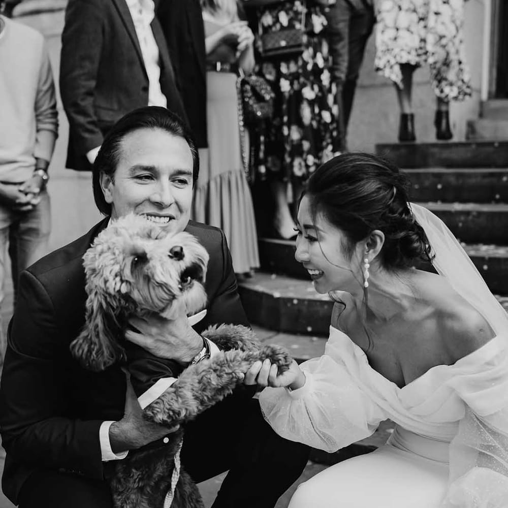 Bride and Groom Cuddle dog at Chelsea Town Hall wedding 