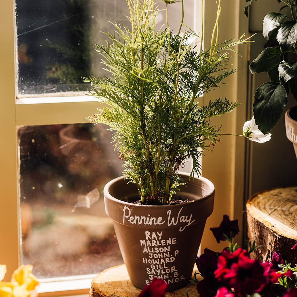 Unique plant pot seating plan idea for botanical wedding at The Parlour, Blagdon