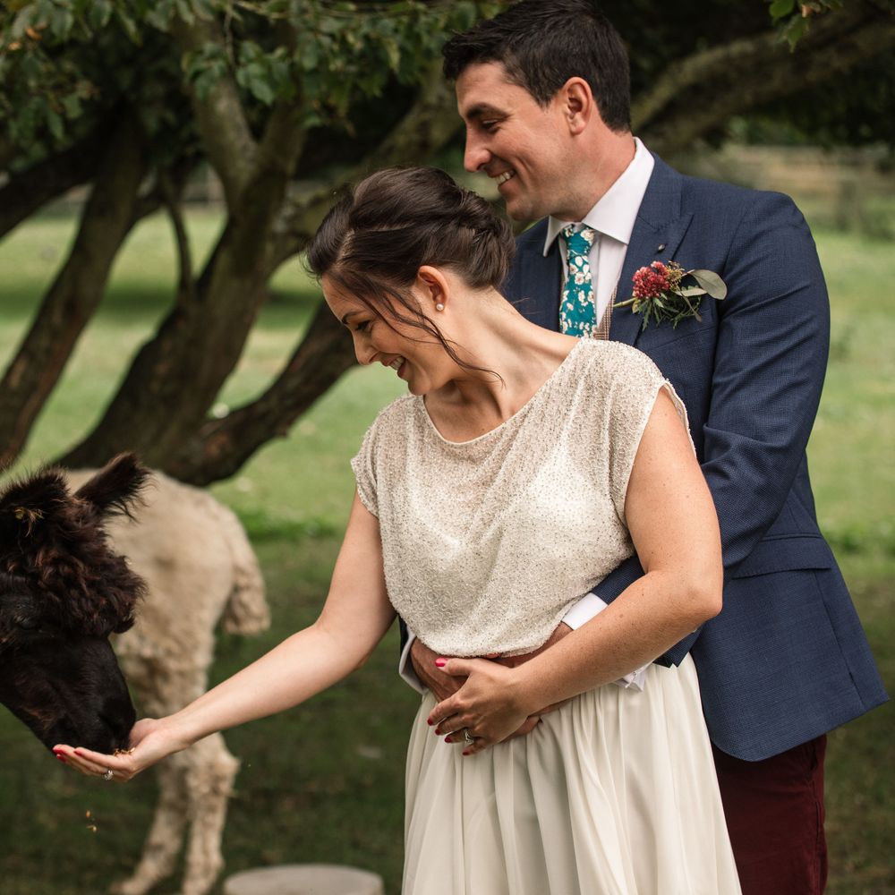 Bride & groom feed alpacas outdoors