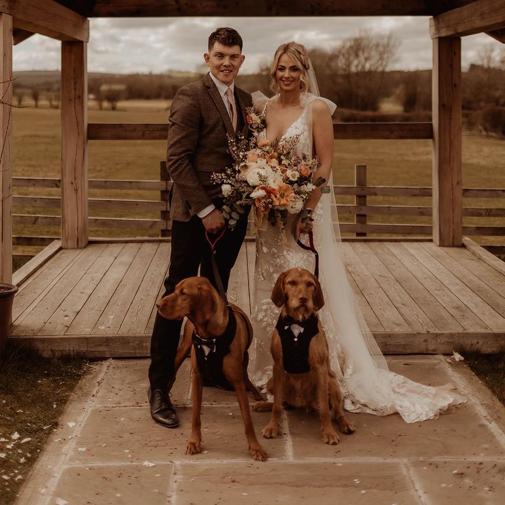 Rustic Eden Barn wedding with bride and groom holding their pet dogs on a lead wearing tuxedos 