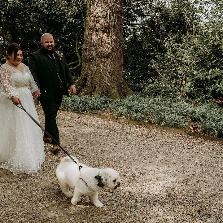 The bride and groom walking around with their pet dog 