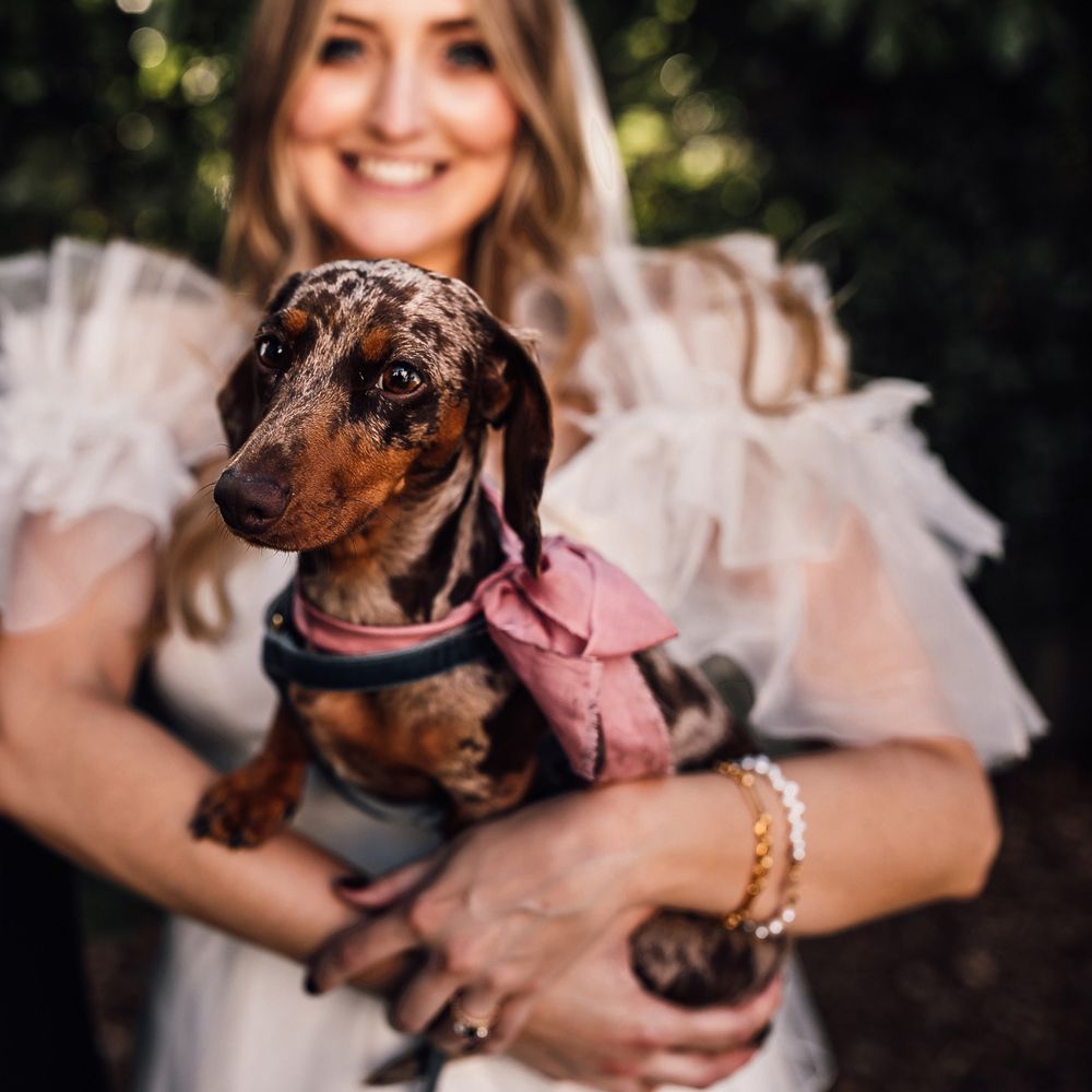 Bride in white Halfpenny London Mayfair dress stands with groom in blue suit and patterned tie as she holds daschund in pink bow at garden wedding reception in Cornwall
